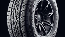 Goodyear EfficientGrip Performance 205/55 R16 91V